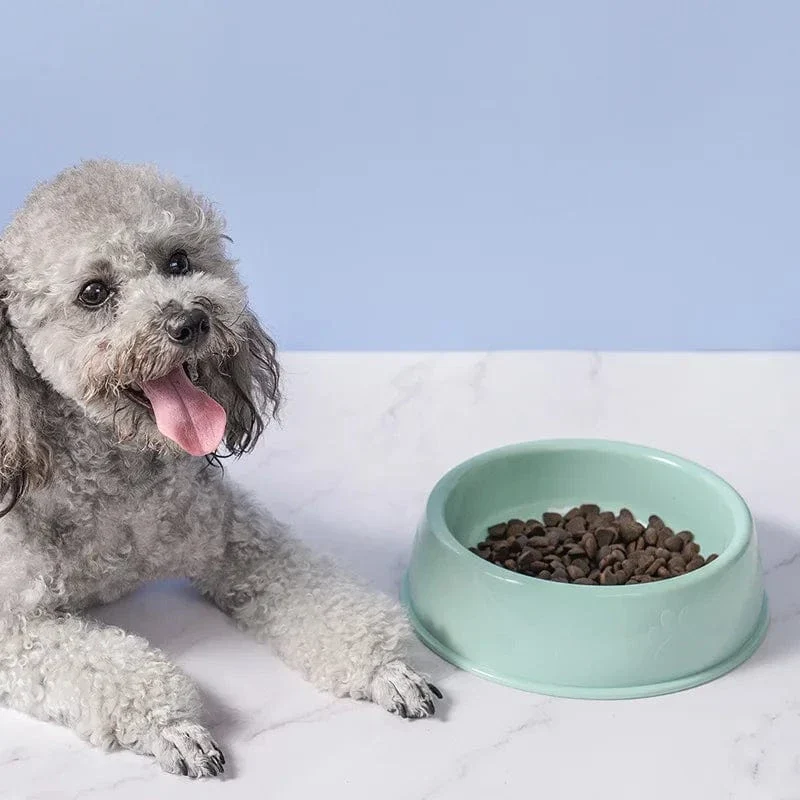 Gamelle chien en plastique durable pour animaux