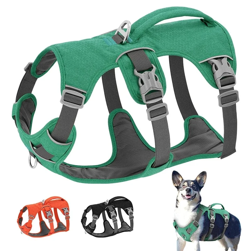 Harnais anti traction chien réfléchissant et confortable