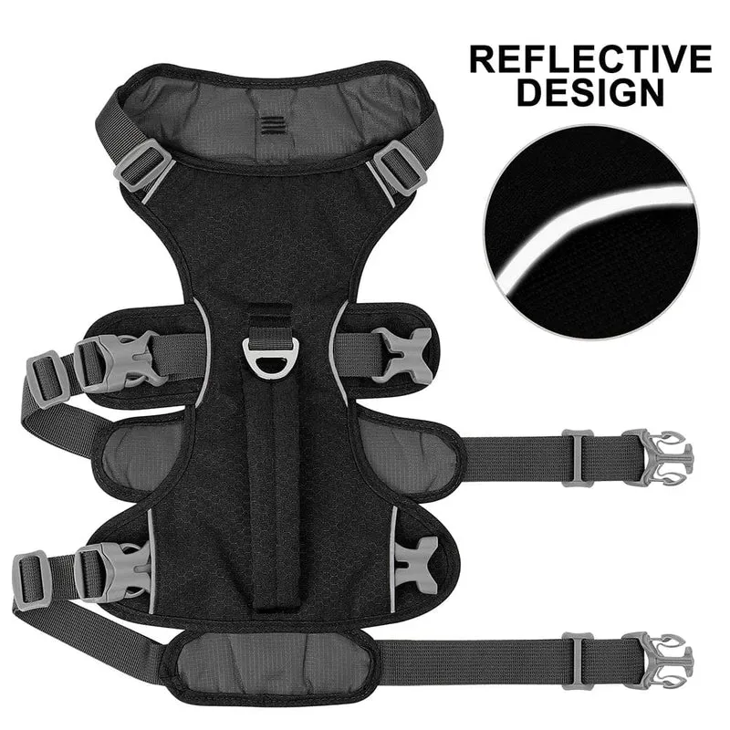 Harnais anti traction chien réfléchissant et confortable