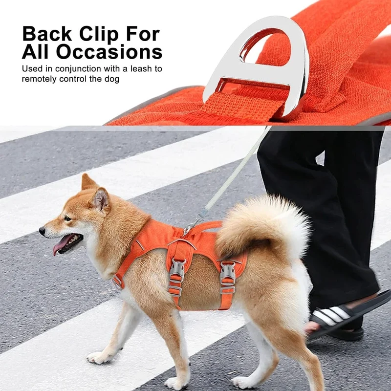 Harnais anti traction chien réfléchissant et confortable