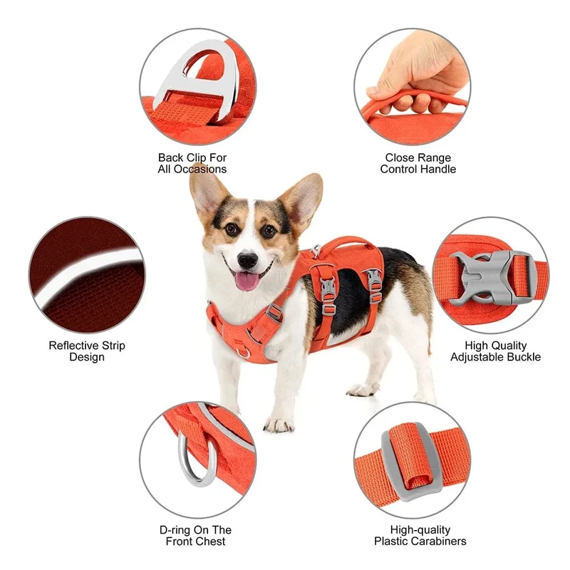 Harnais anti traction chien réfléchissant et confortable