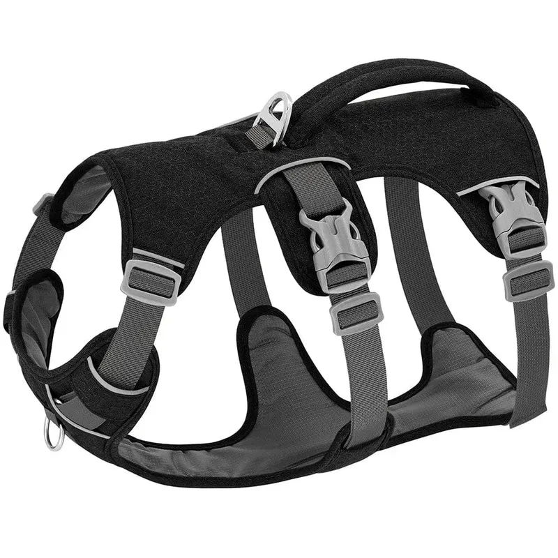 Harnais anti traction chien réfléchissant et confortable