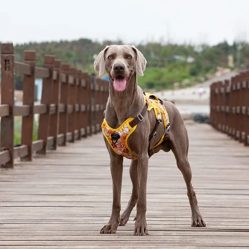 Harnais anti traction chien réglable et réfléchissant pour tous les tailles