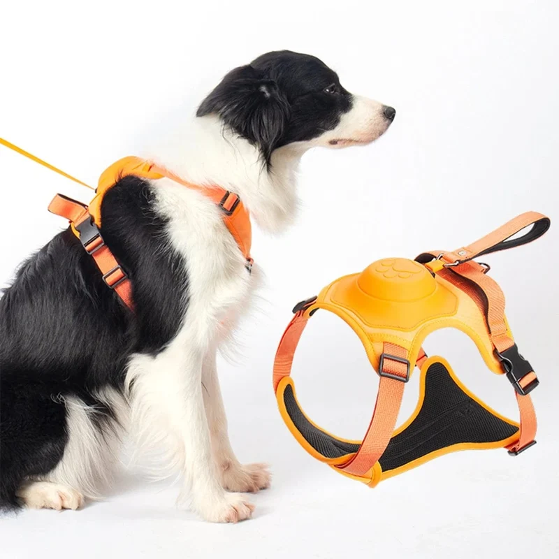 Sac à dos portable pour animaux avec harnais anti-traction chien - Ensemble de voyage pratique