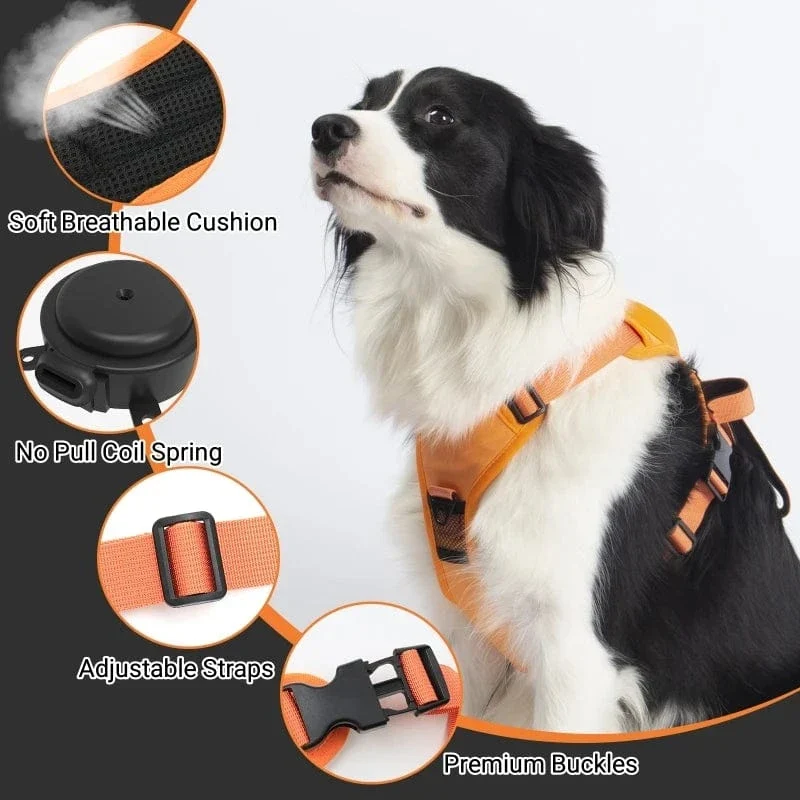 Sac à dos portable pour animaux avec harnais anti-traction chien - Ensemble de voyage pratique