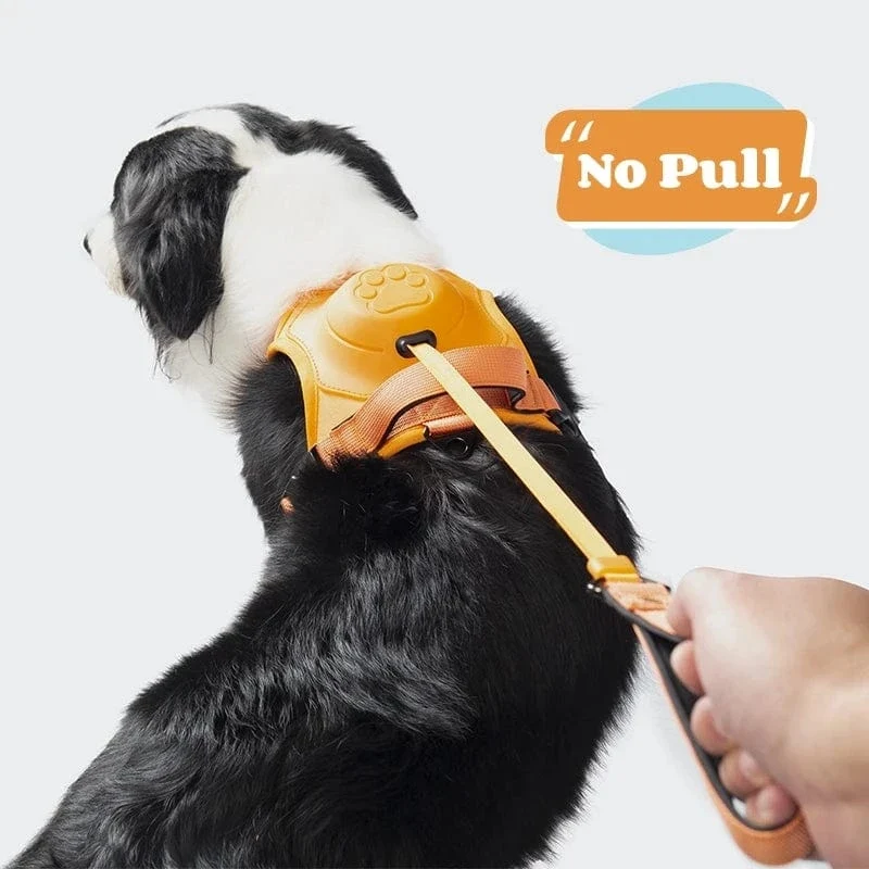 Sac à dos portable pour animaux avec harnais anti-traction chien - Ensemble de voyage pratique