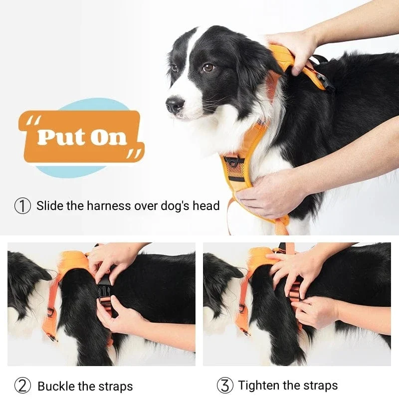 Sac à dos portable pour animaux avec harnais anti-traction chien - Ensemble de voyage pratique