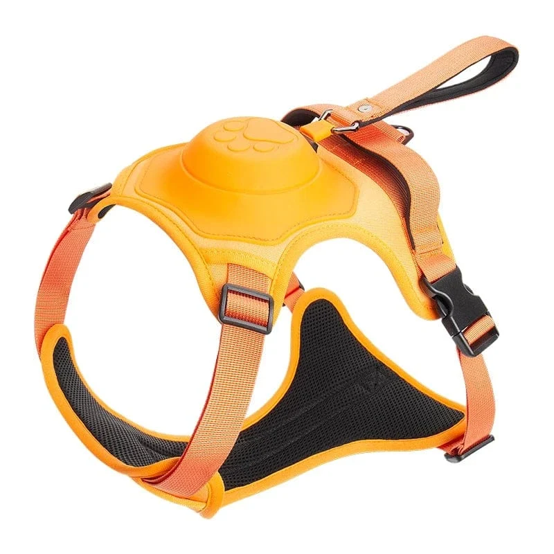 Sac à dos portable pour animaux avec harnais anti-traction chien - Ensemble de voyage pratique