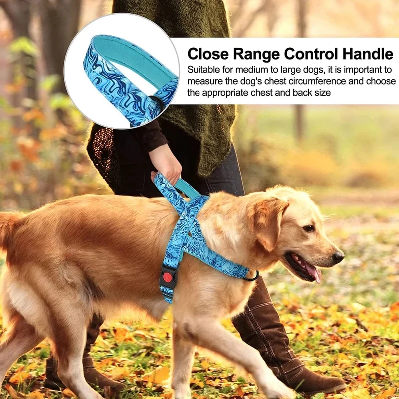 Harnais anti traction chien réglable et solide pour petits et moyens chiens