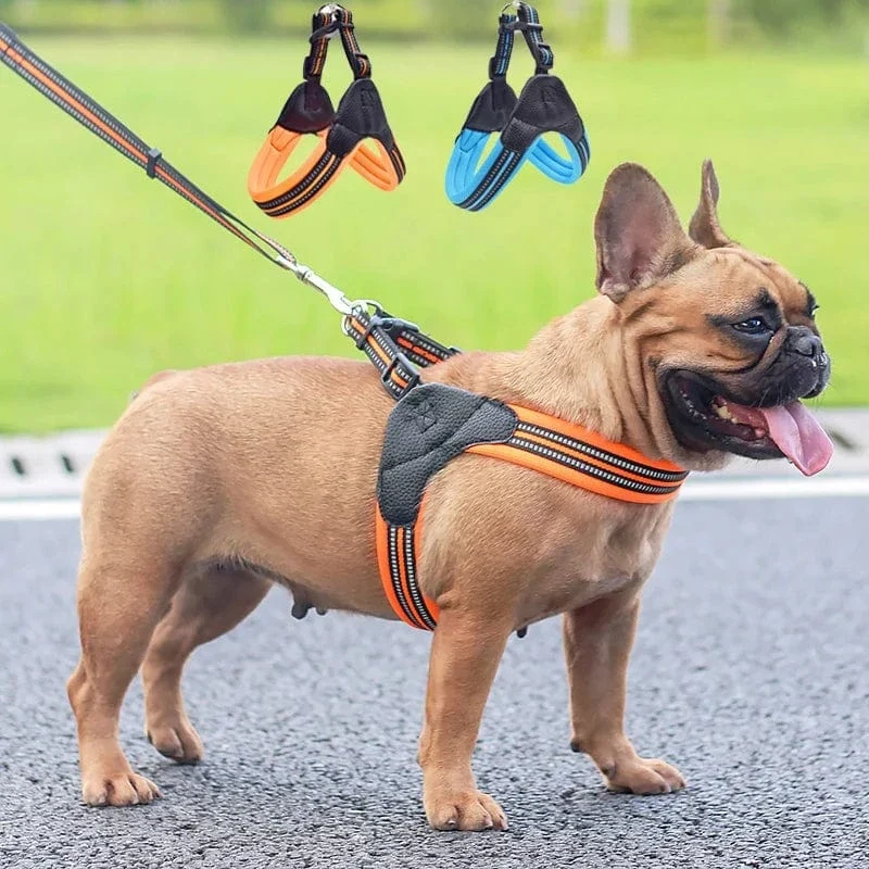 Harnais anti-traction chien réfléchissant pour petits et moyens animaux