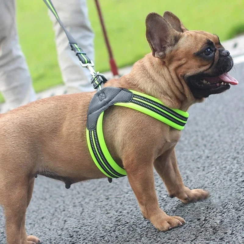 Harnais anti-traction chien réfléchissant pour petits et moyens animaux