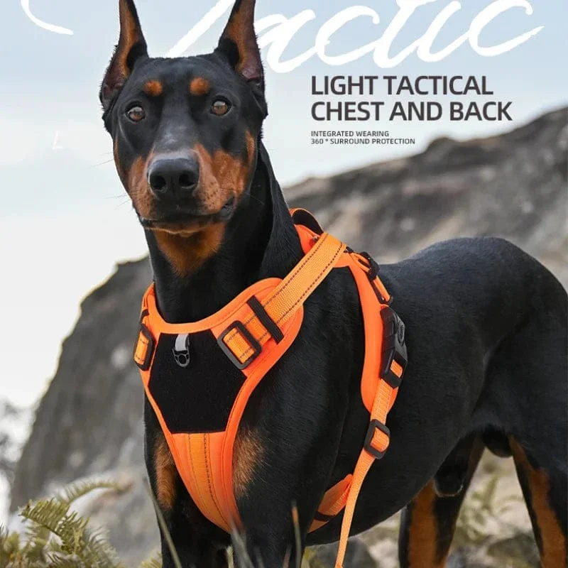 Harnais anti-traction chien réglable et confortable