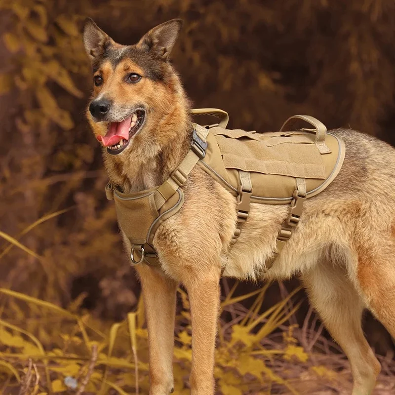 Harnais anti traction chien résistant à l'évasion pour Pitbull et grands chiens
