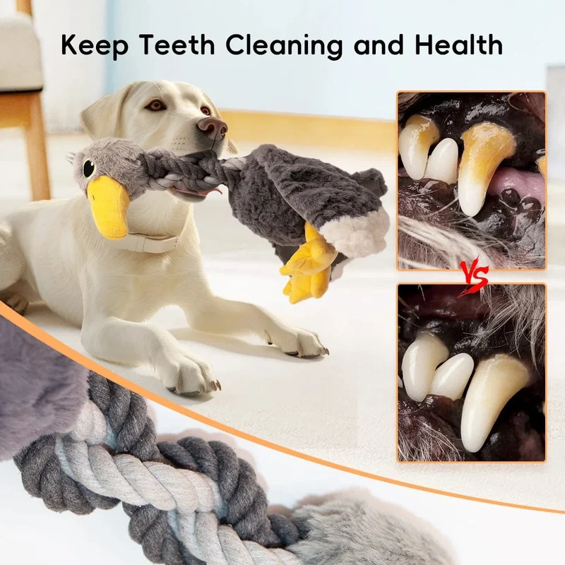Jouet pour chien : peluche résistante avec corde et bruit