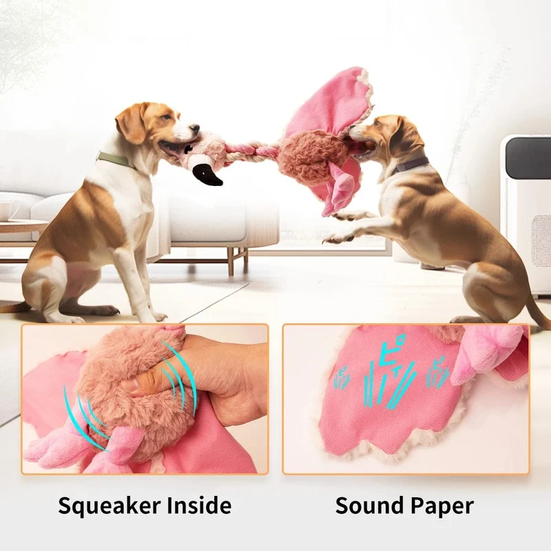 Jouet pour chien : peluche résistante avec corde et bruit