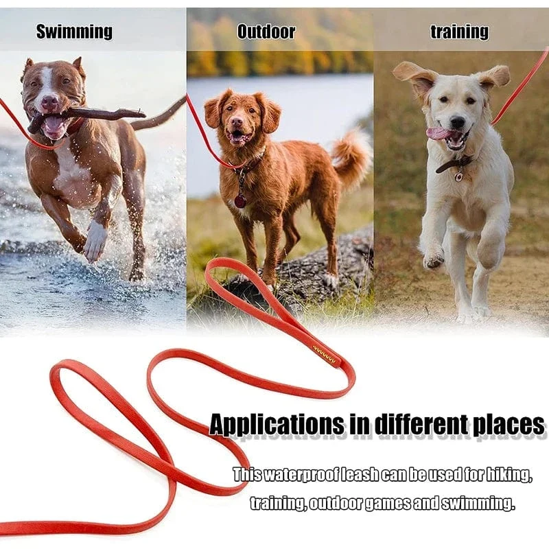 Laisse pour chien imperméable et résistante