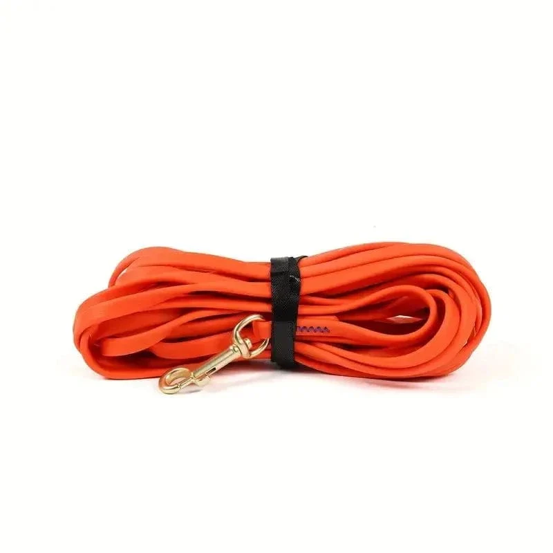 Laisse pour chien imperméable et résistante