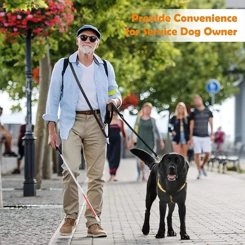 Laisse pour chien multifonctionnelle en cuir - Mains libres, style bandoulière