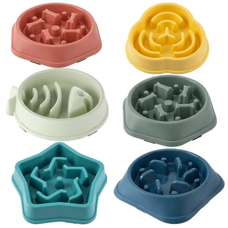 Gamelle anti glouton chien : alimentation lente et sécurisée