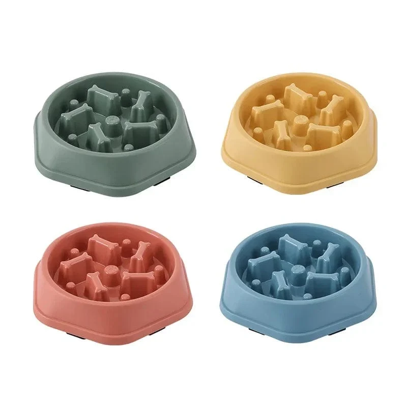 Gamelle anti glouton chien : alimentation lente et sécurisée