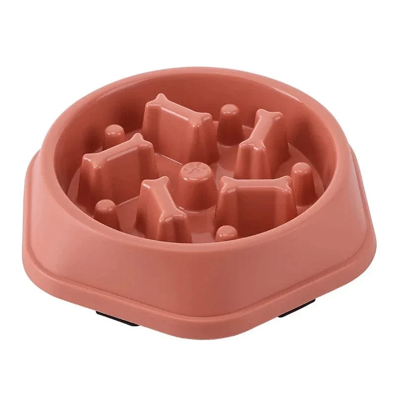 Gamelle anti glouton chien : alimentation lente et sécurisée