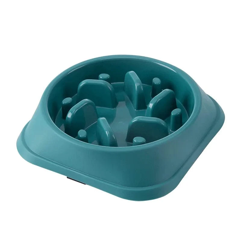 Gamelle anti glouton chien : alimentation lente et sécurisée