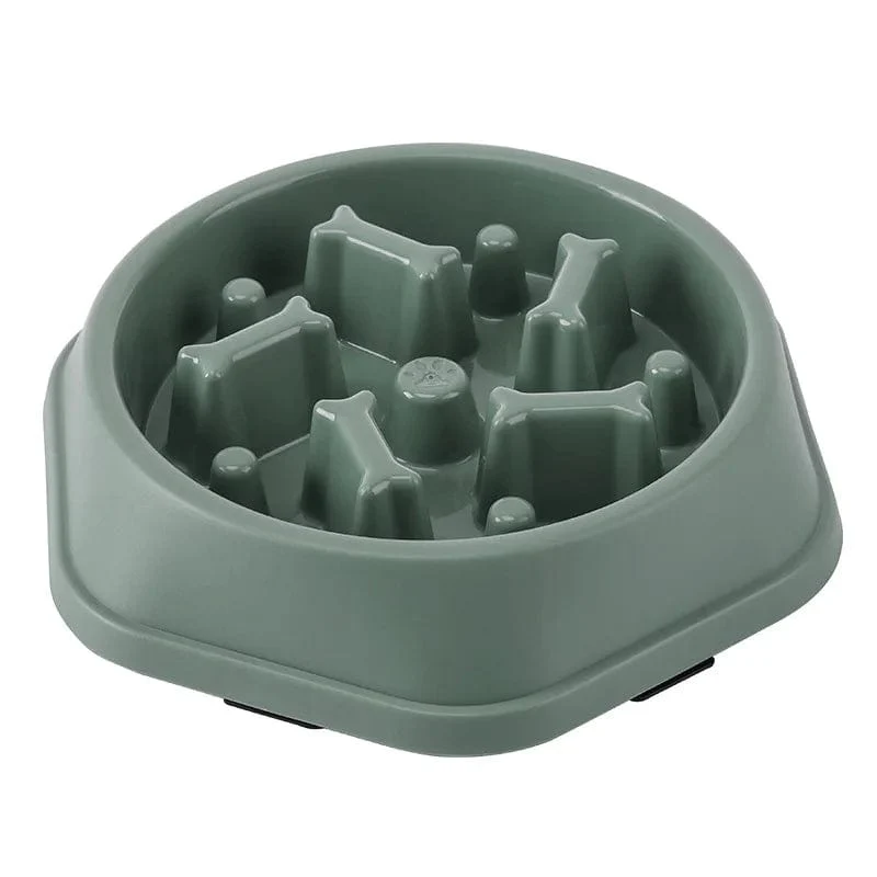 Gamelle anti glouton chien : alimentation lente et sécurisée
