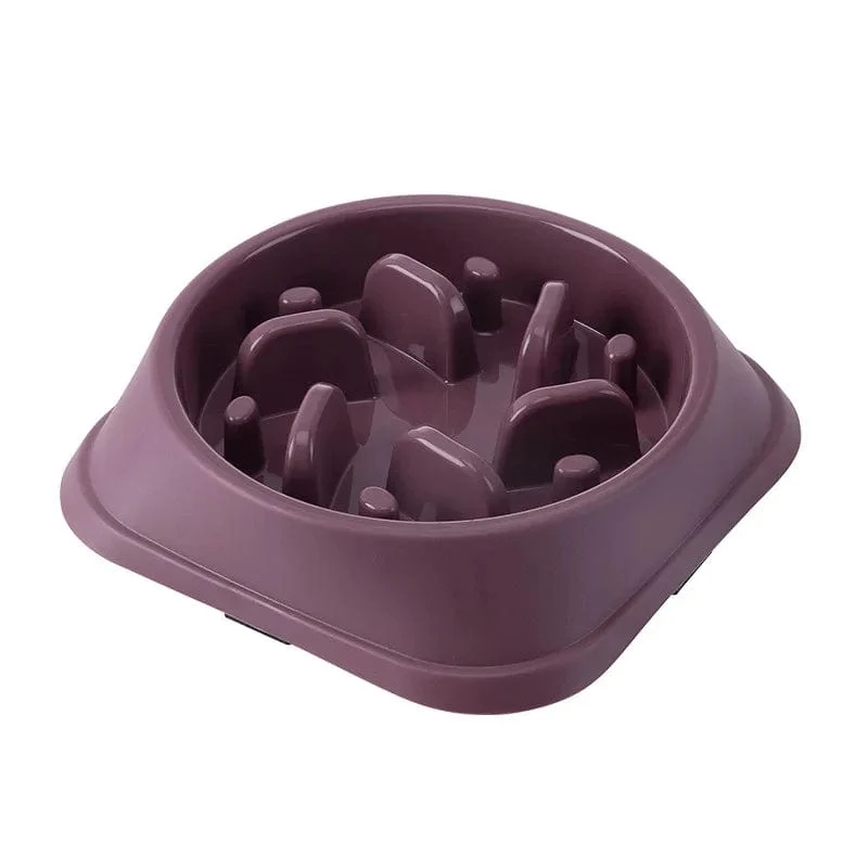 Gamelle anti glouton chien : alimentation lente et sécurisée