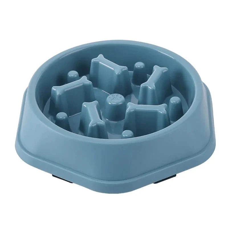 Gamelle anti glouton chien : alimentation lente et sécurisée