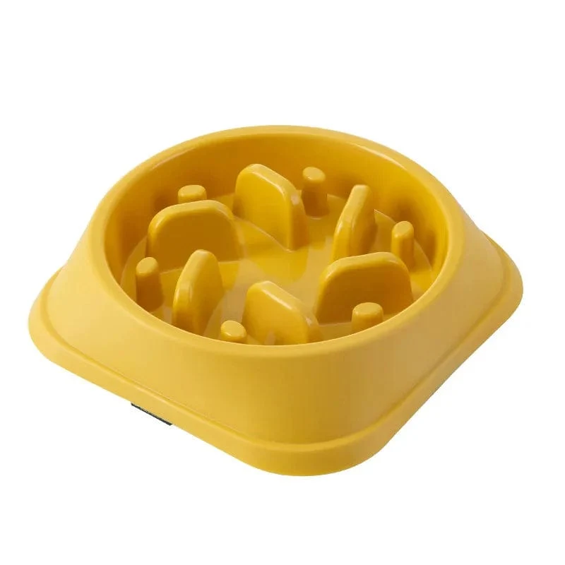 Gamelle anti glouton chien : alimentation lente et sécurisée