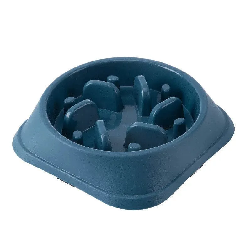 Gamelle anti glouton chien : alimentation lente et sécurisée