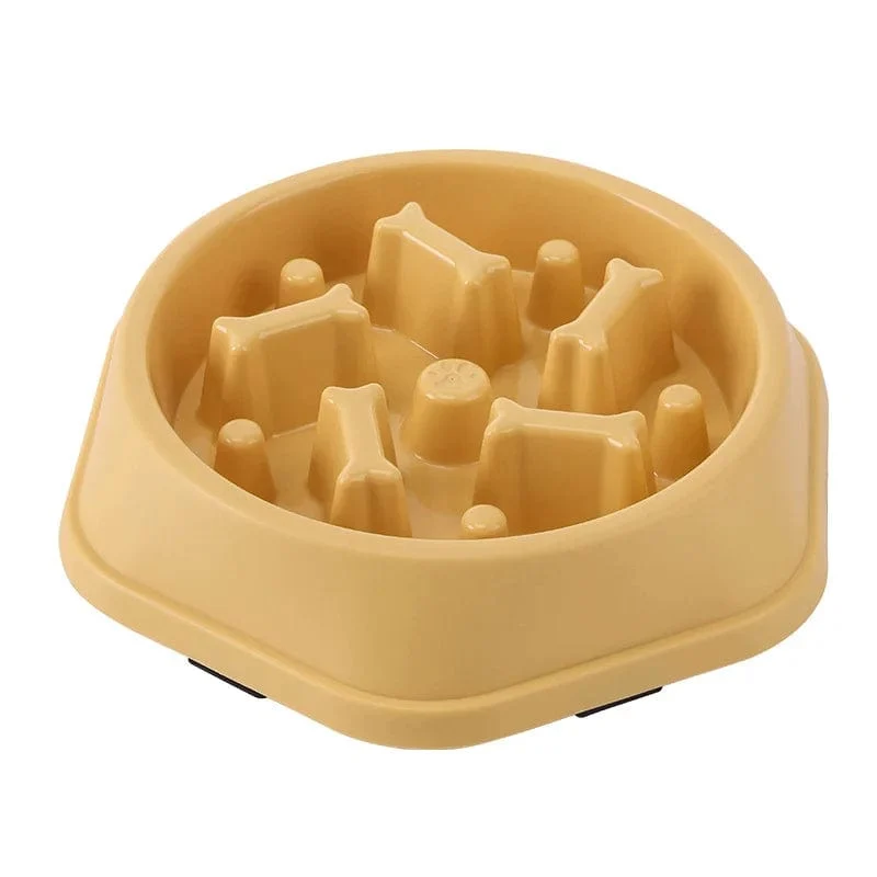 Gamelle anti glouton chien : alimentation lente et sécurisée