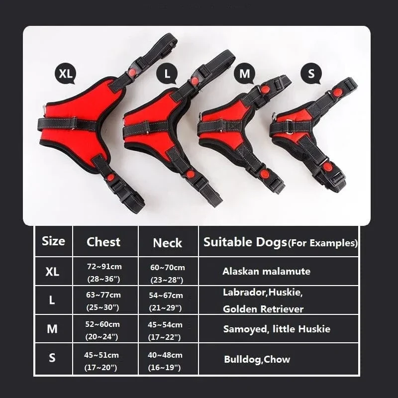 Harnais anti traction chien rembourré réglable - Confort pour petits et grands chiens
