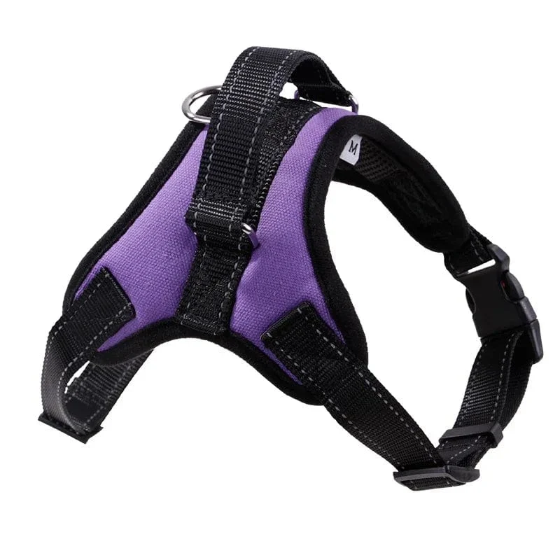 Harnais anti traction chien rembourré réglable - Confort pour petits et grands chiens