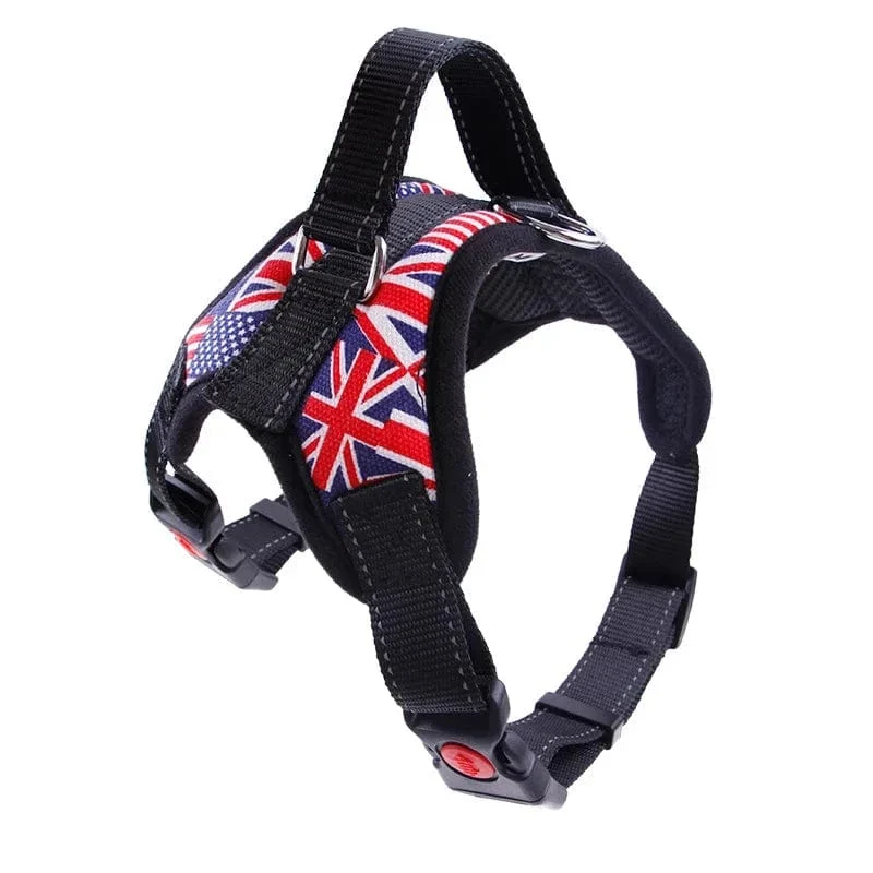 Harnais anti traction chien rembourré réglable - Confort pour petits et grands chiens