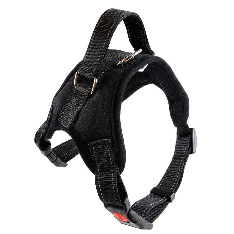 Harnais anti traction chien rembourré réglable - Confort pour petits et grands chiens