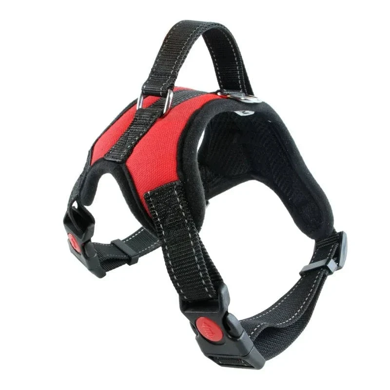 Harnais anti traction chien rembourré réglable - Confort pour petits et grands chiens