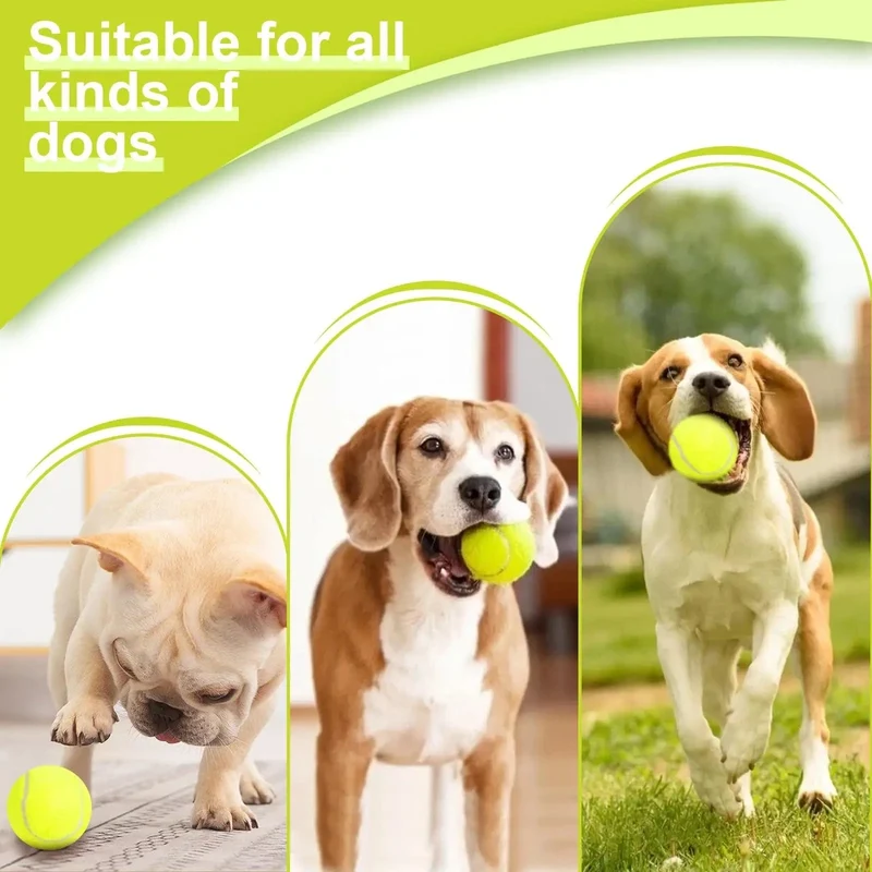 Lanceur de balle automatique : Jouet pour chien amusant