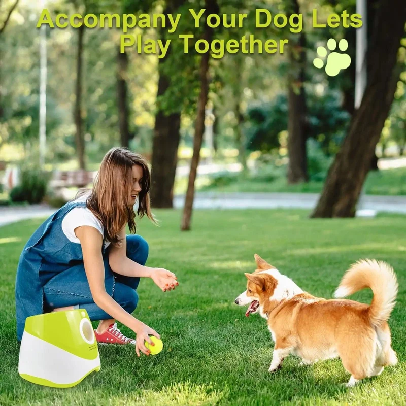 Lanceur de balle automatique : Jouet pour chien amusant
