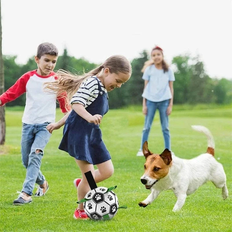 Jouet pour chien : Football interactif résistant