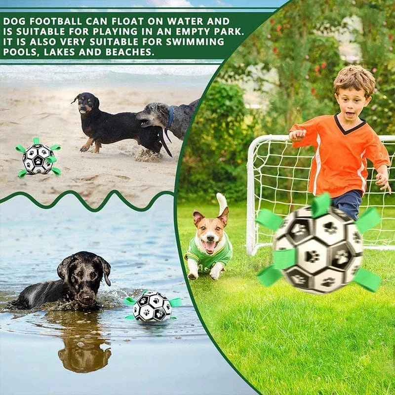 Jouet pour chien : Football interactif résistant