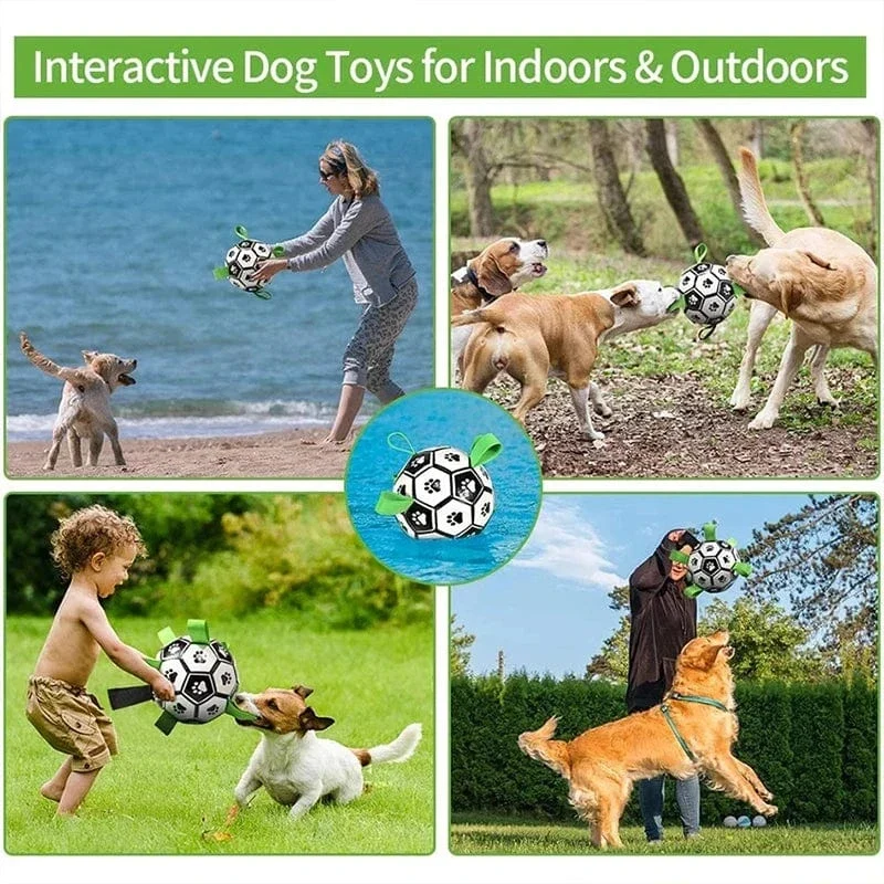 Jouet pour chien : Football interactif résistant