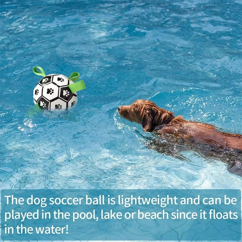 Jouet pour chien : Football interactif résistant