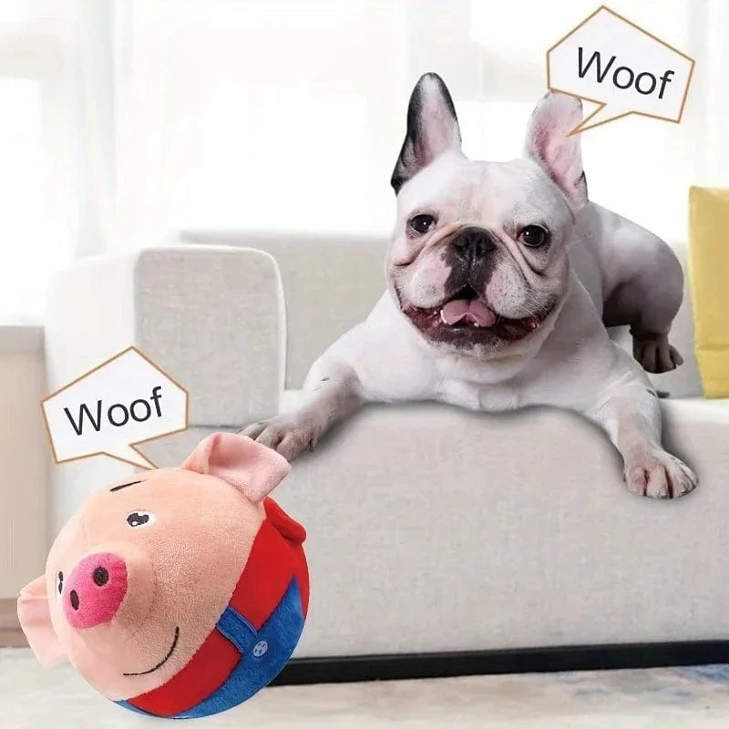 Jouet pour chien interactif et rebondissant