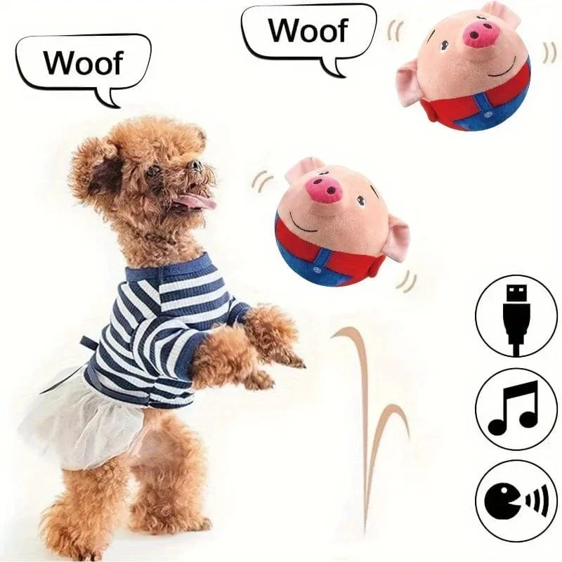 Jouet pour chien interactif et rebondissant