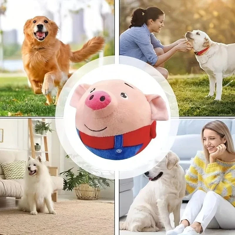 Jouet pour chien interactif et rebondissant