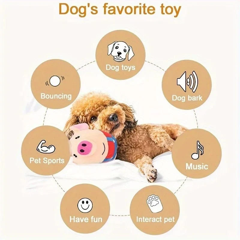 Jouet pour chien interactif et rebondissant