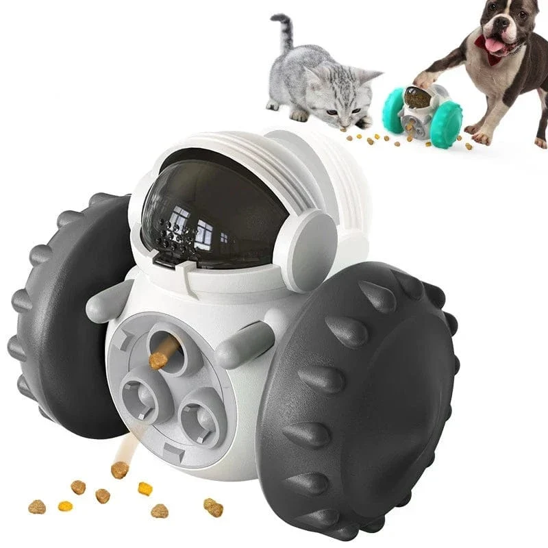 Jouet pour chien interactif et éducatif