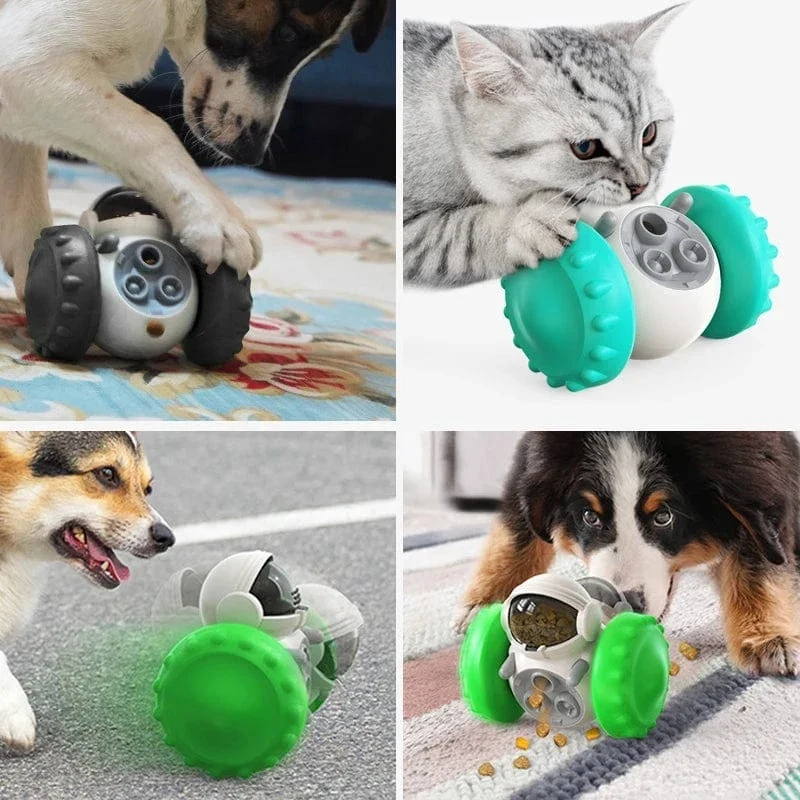 Jouet pour chien interactif et éducatif