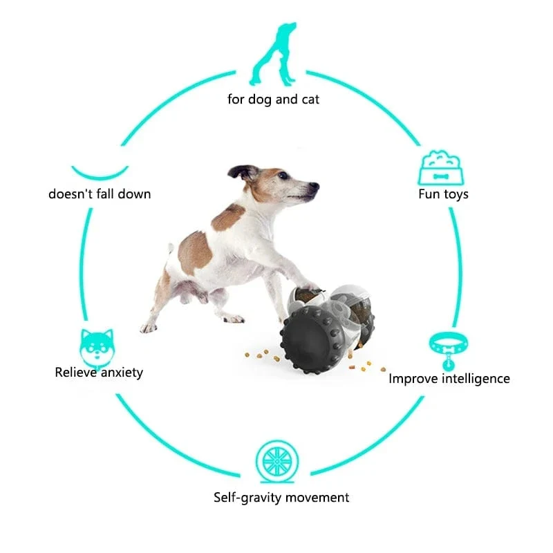 Jouet pour chien interactif et éducatif